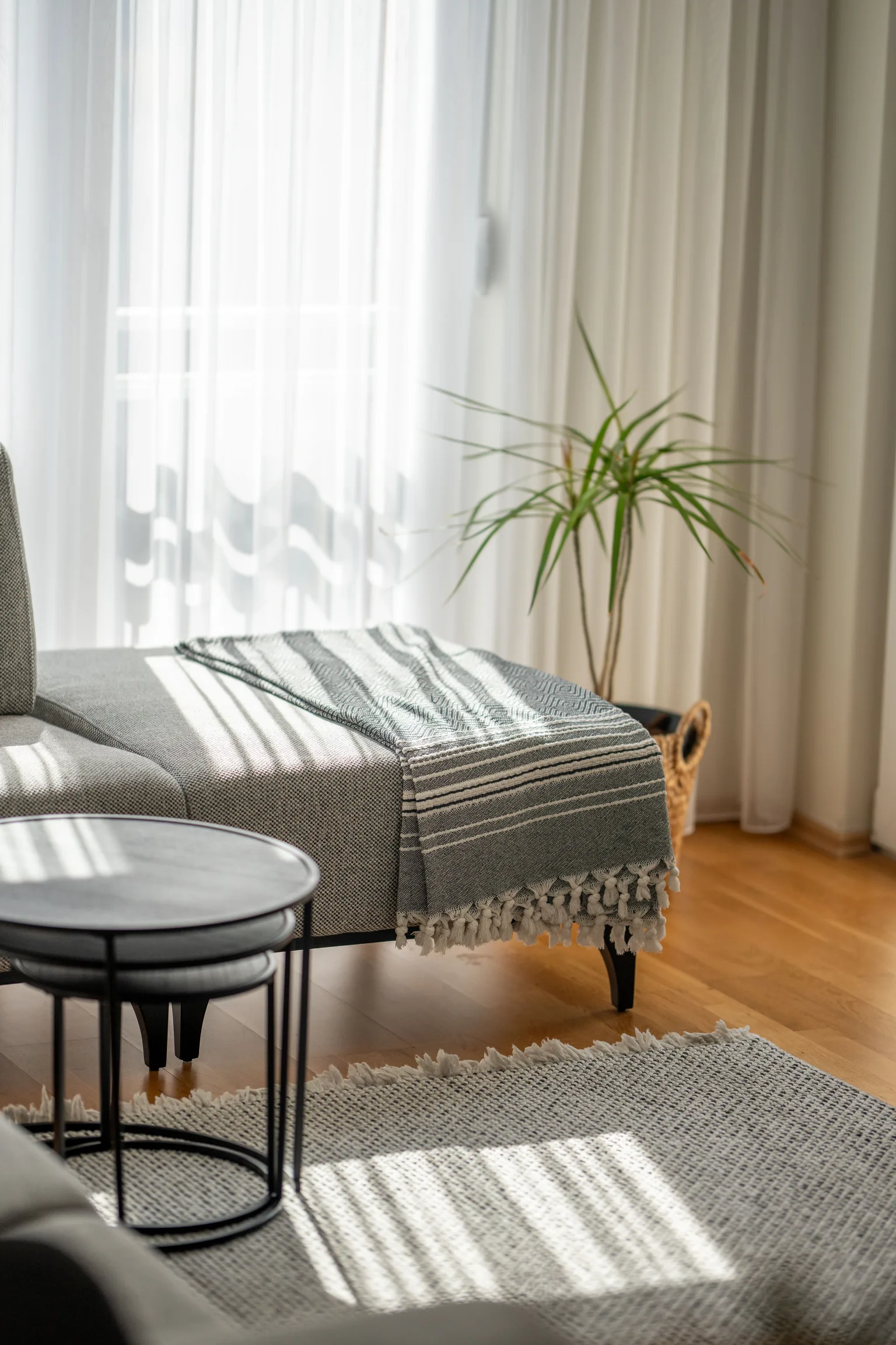 Living room with an upholstered sofa and a rug